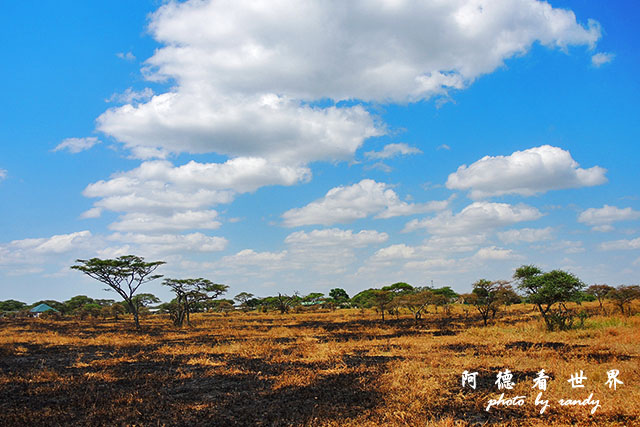 serengeti2P7700 085.JPG