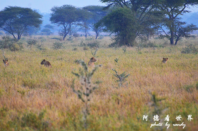 serengeti3D7000 050.JPG serengeti3D7000 050.JPG