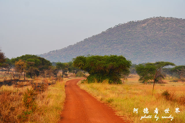 serengeti3D7000 115.JPG