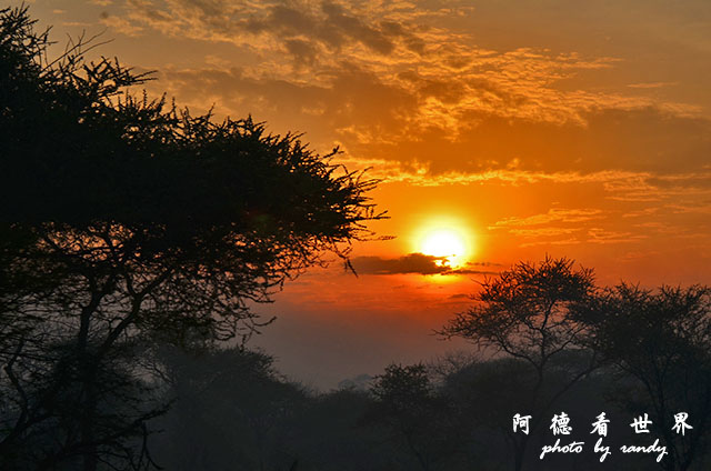 serengeti3D7000 062.JPG