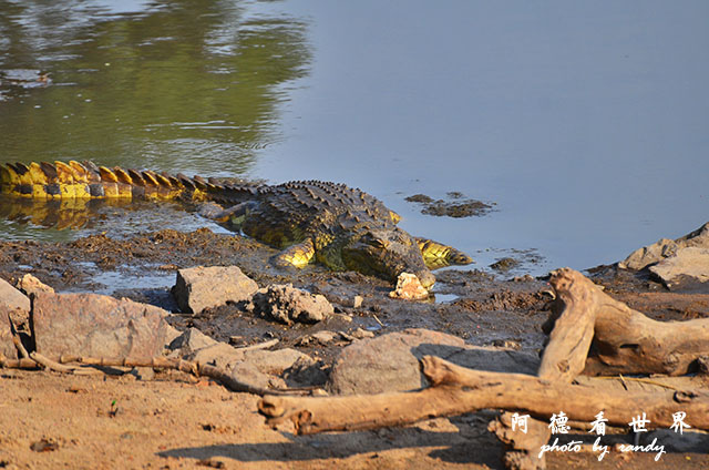 serengeti3D7000 264.JPG