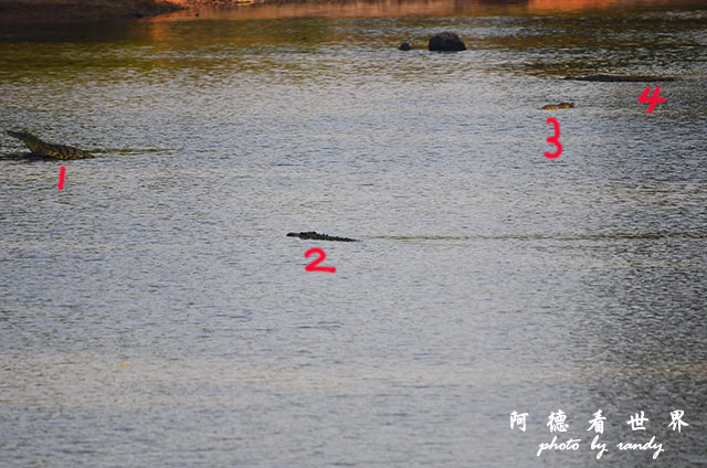 serengeti3D7000 271.JPG serengeti3D7000 271.JPG