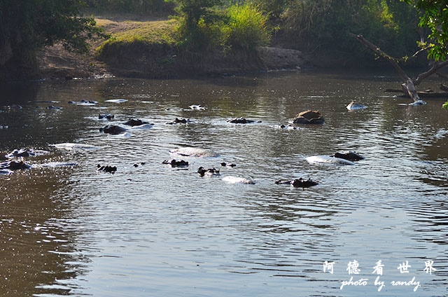 serengeti3D7000 265.JPG serengeti3D7000 265.JPG