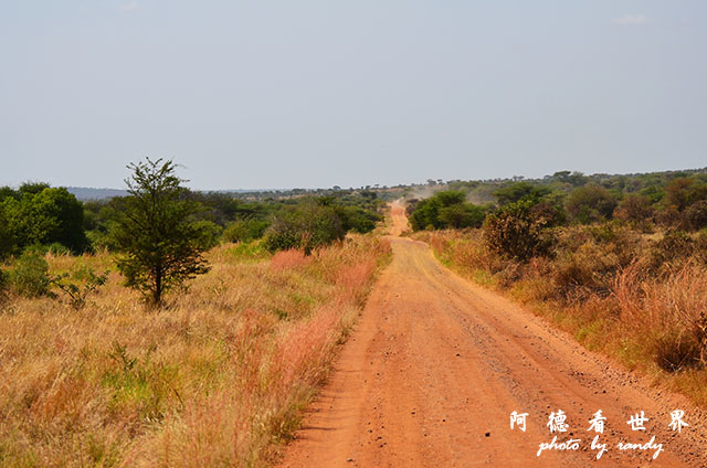 serengeti3D7000 342.JPG