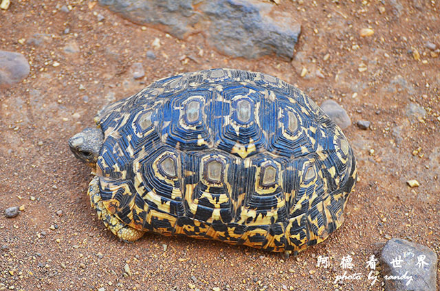 serengeti3D7000 341.JPG serengeti3D7000 341.JPG