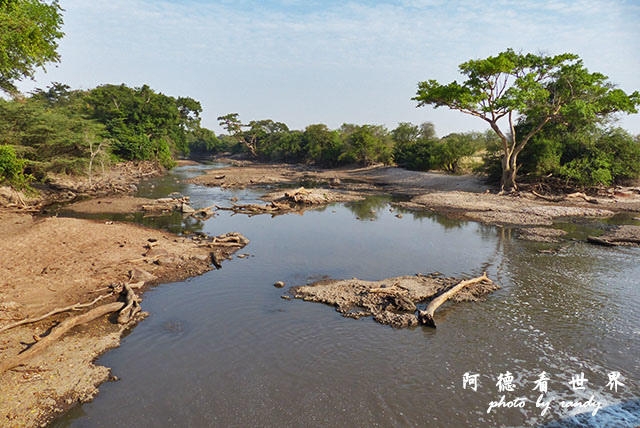 serengeti3FZ200 (56).JPG serengeti3FZ200 (56).JPG