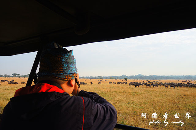 serengeti3P7700 051.JPG serengeti3P7700 051.JPG