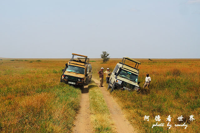 serengeti3P7700 147.JPG serengeti3P7700 147.JPG