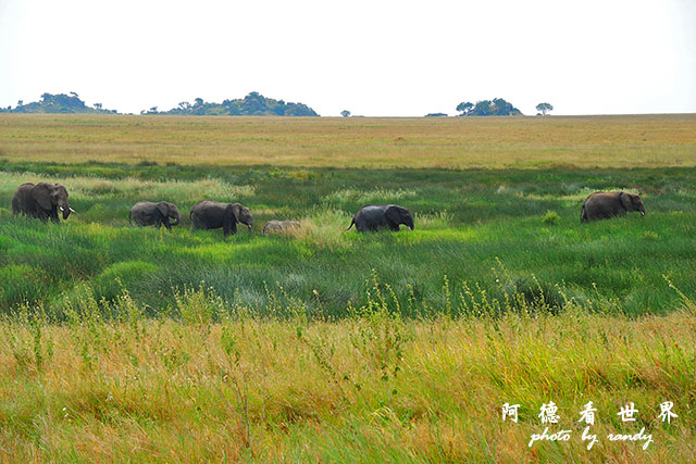 serengeti3P7700 148.JPG