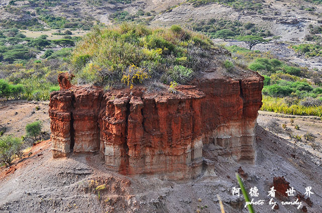 serengeti3D7000 389.JPG serengeti3D7000 389.JPG