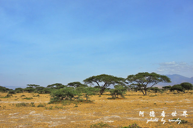 serengeti3P7700 156.JPG