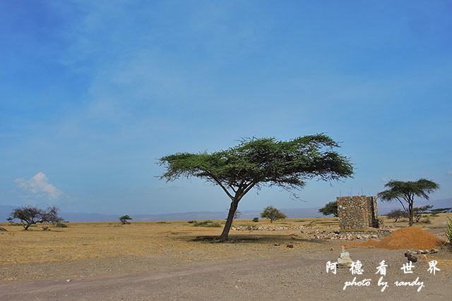 serengeti3P7700 157.JPG