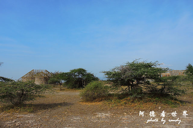 serengeti3P7700 158.JPG serengeti3P7700 158.JPG