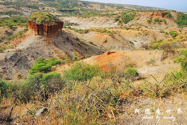 serengeti3P7700 168.JPG serengeti3P7700 168.JPG