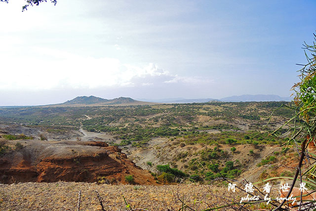 serengeti3P7700 170.JPG serengeti3P7700 170.JPG