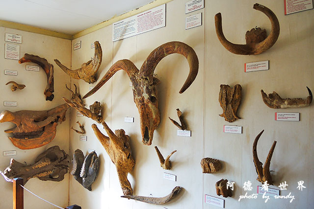 serengeti3P7700 179.JPG serengeti3P7700 179.JPG