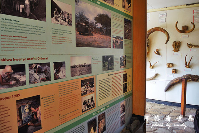 serengeti3P7700 181.JPG serengeti3P7700 181.JPG