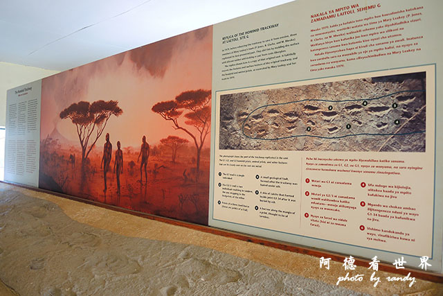 serengeti3P7700 183.JPG serengeti3P7700 183.JPG