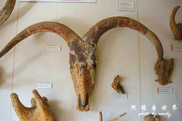 serengeti3P7700 184.JPG serengeti3P7700 184.JPG