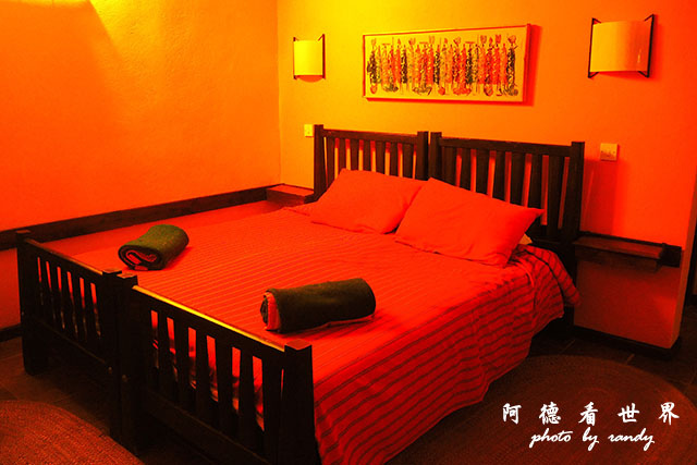 serengeti3P7700 212.JPG serengeti3P7700 212.JPG