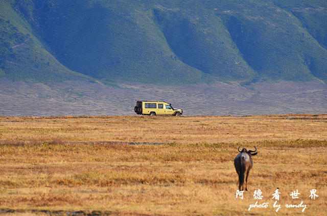 ngorongoroD7000 034.JPG ngorongoroD7000 034.JPG