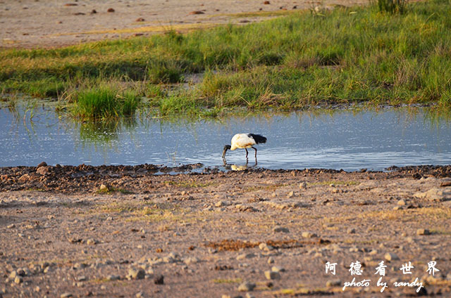 ngorongoroD7000 025.JPG ngorongoroD7000 025.JPG