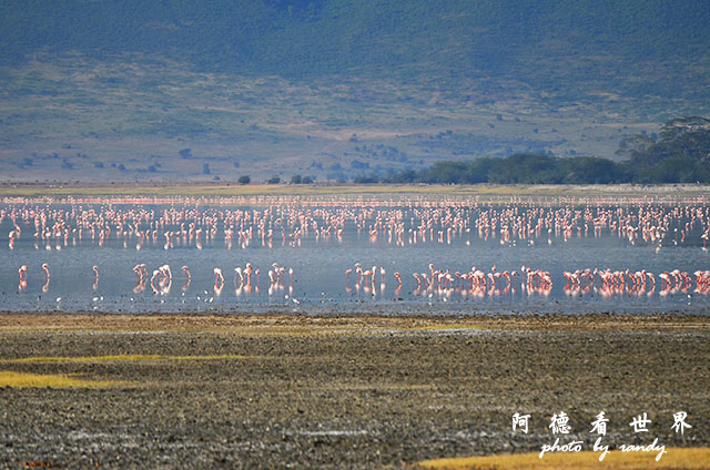 ngorongoroD7000 038.JPG ngorongoroD7000 038.JPG