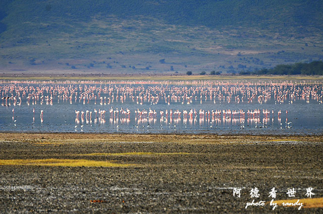 ngorongoroD7000 042.JPG ngorongoroD7000 042.JPG