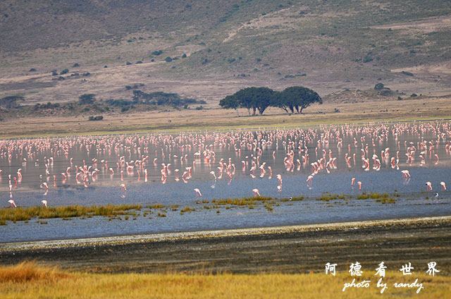 ngorongoroD7000 067.JPG ngorongoroD7000 067.JPG