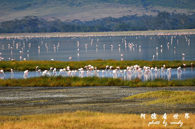 ngorongoroD7000 070.JPG ngorongoroD7000 070.JPG