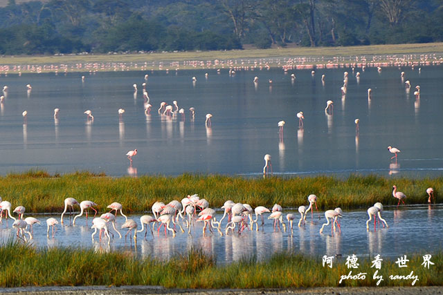 ngorongoroD7000 070-1.jpg ngorongoroD7000 070-1.jpg