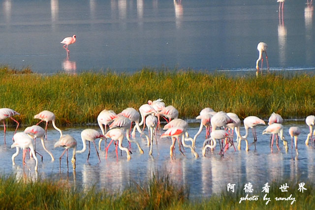 ngorongoroD7000 070-2.jpg ngorongoroD7000 070-2.jpg