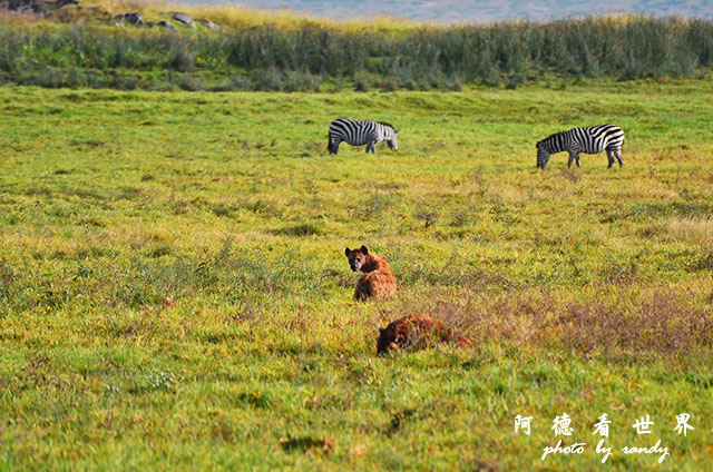 ngorongoroD7000 094.JPG ngorongoroD7000 094.JPG