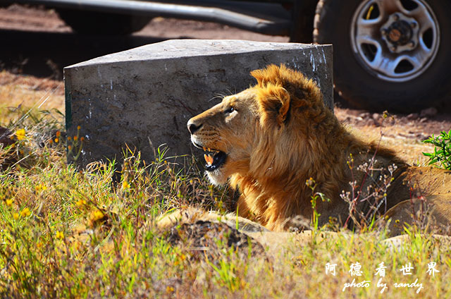 ngorongoroD7000 164.JPG ngorongoroD7000 164.JPG