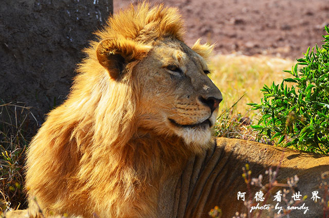 ngorongoroD7000 174.JPG ngorongoroD7000 174.JPG