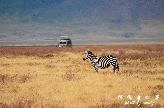 ngorongoroD7000 185.JPG ngorongoroD7000 185.JPG