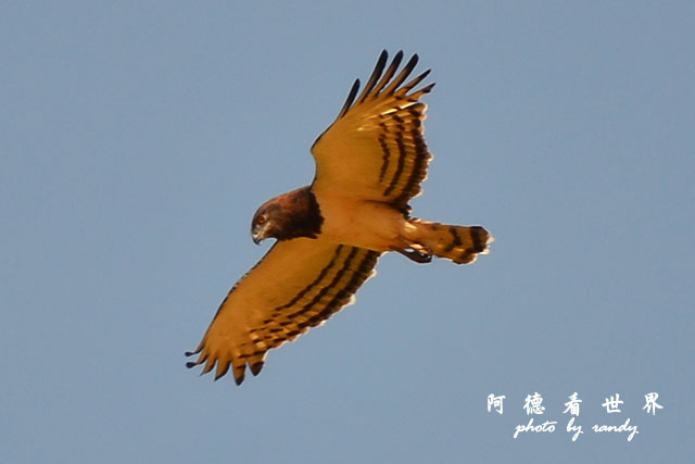 ngorongoroD7000 197.JPG ngorongoroD7000 197.JPG