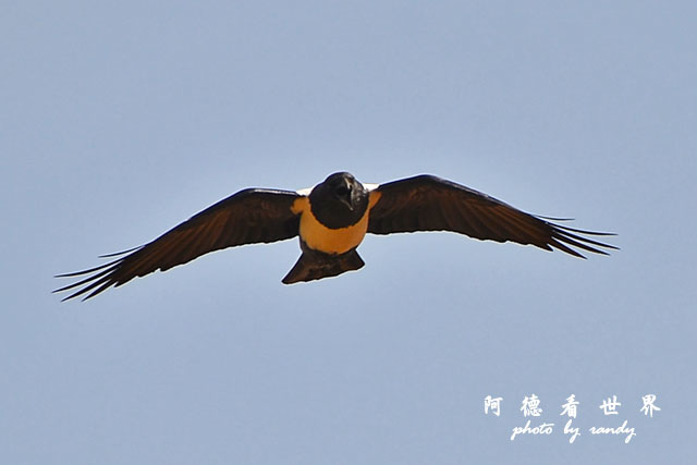 ngorongoroD7000 214.JPG ngorongoroD7000 214.JPG