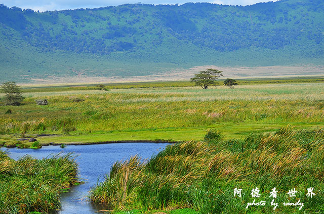 ngorongoroD7000 223.JPG ngorongoroD7000 223.JPG