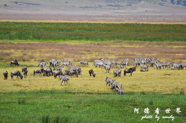 ngorongoroD7000 226.JPG ngorongoroD7000 226.JPG