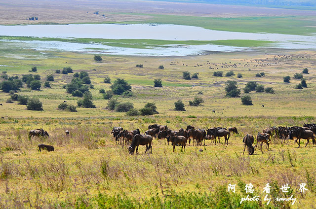 ngorongoroD7000 257.JPG ngorongoroD7000 257.JPG