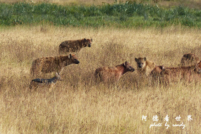 ngorongoroFZ200 (19).JPG ngorongoroFZ200 (19).JPG