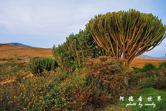 ngorongoroP7700 006.JPG ngorongoroP7700 006.JPG