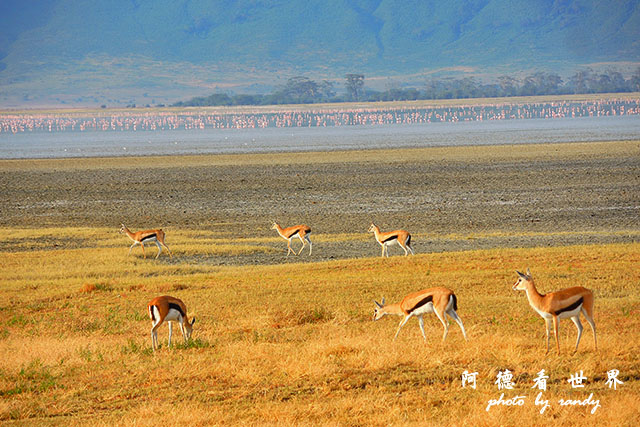 ngorongoroP7700 032.JPG ngorongoroP7700 032.JPG