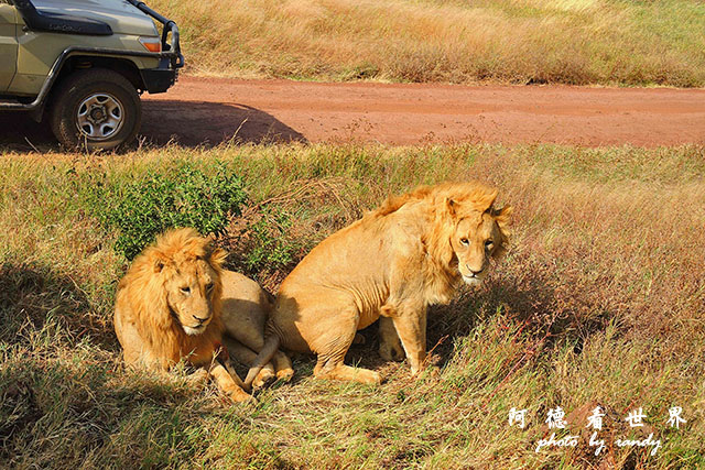 ngorongoroP7700 102.JPG ngorongoroP7700 102.JPG