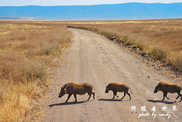 ngorongoroP7700 136.JPG ngorongoroP7700 136.JPG