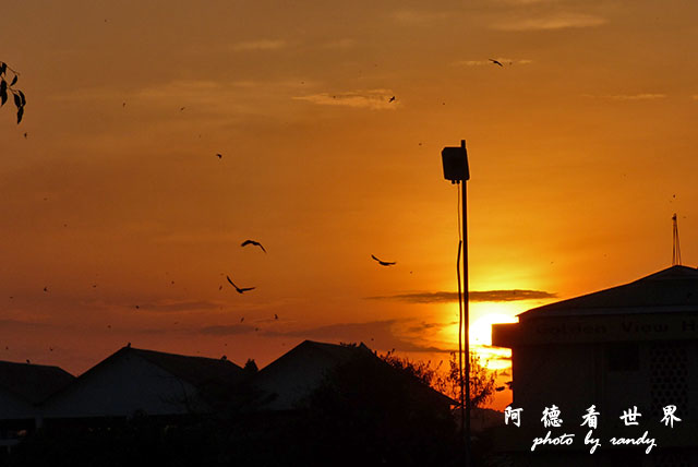 moshi2FZ200 (33).JPG moshi2FZ200 (33).JPG