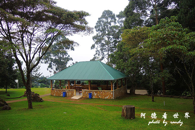 kilimanjaroP7700 005.JPG kilimanjaroP7700 005.JPG