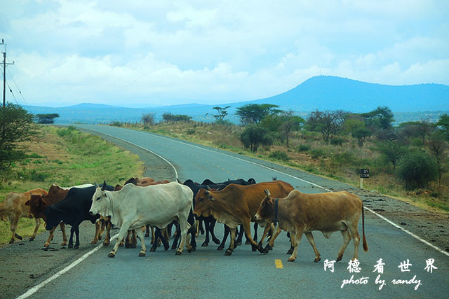 nakuru2P7700 016.JPG