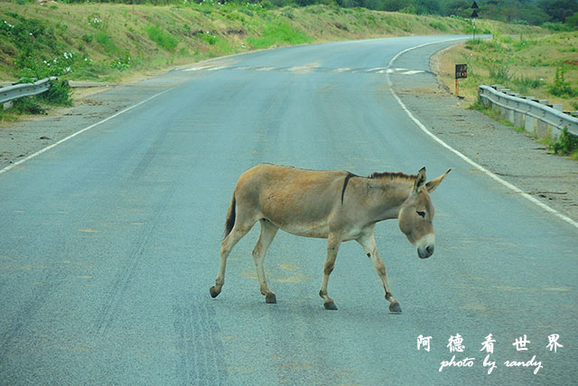 nakuru2P7700 024.JPG nakuru2P7700 024.JPG
